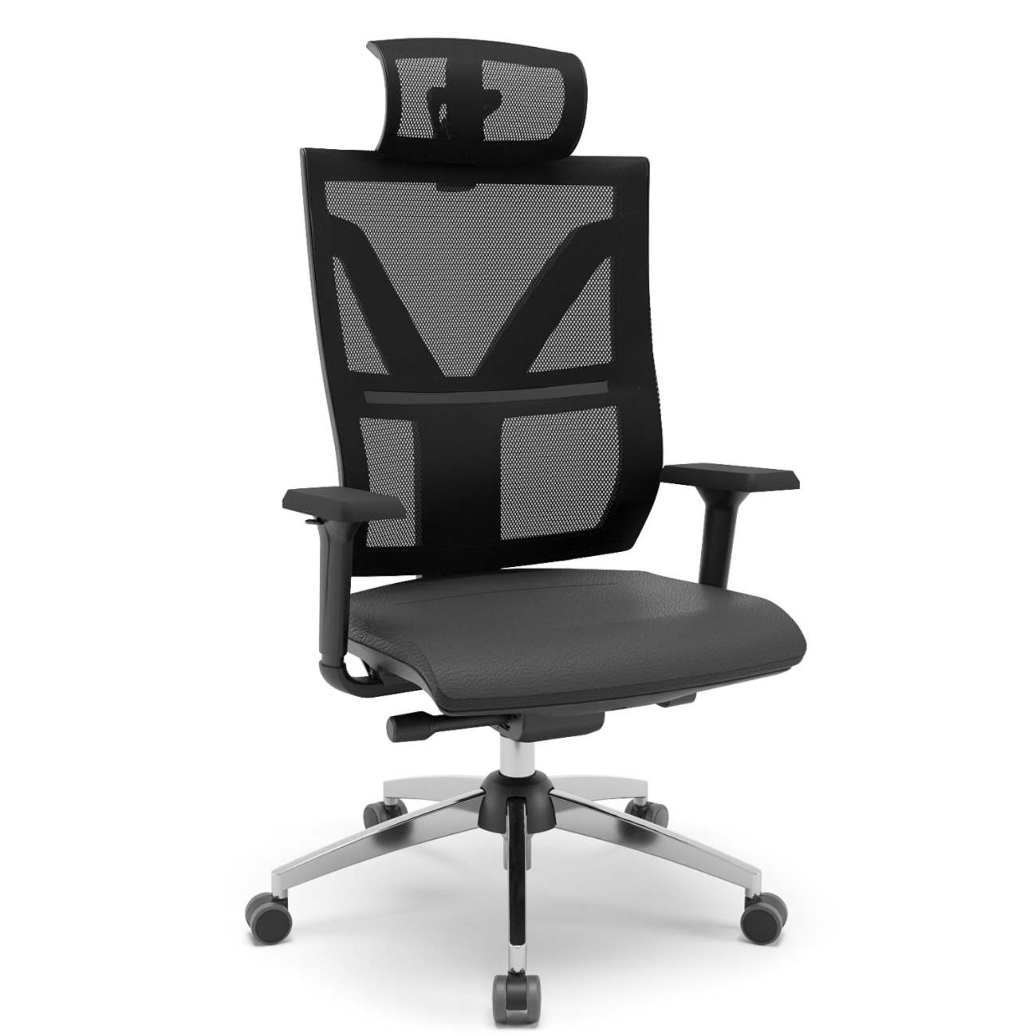 Darix x estofada.png